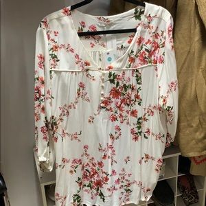 Skies are blue brand size 2x women’s blouse.